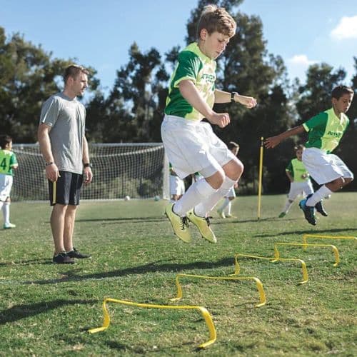 Haies d'entrainement